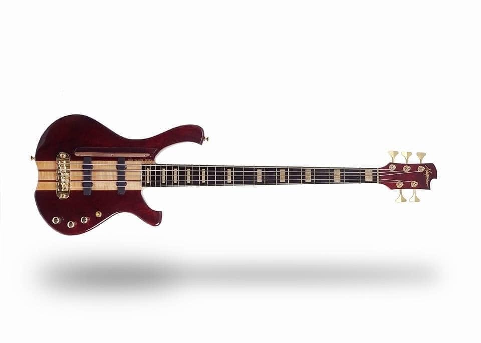 Custom 5-String — Customer Designed